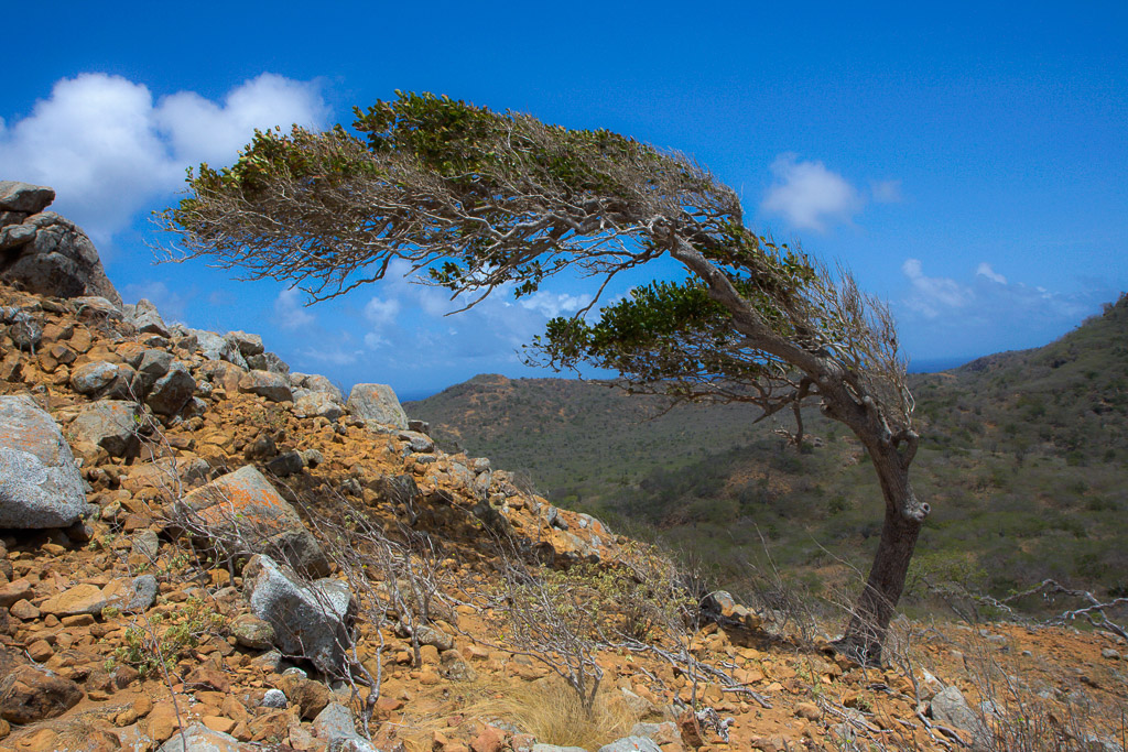 Dutch Antilles (2010)