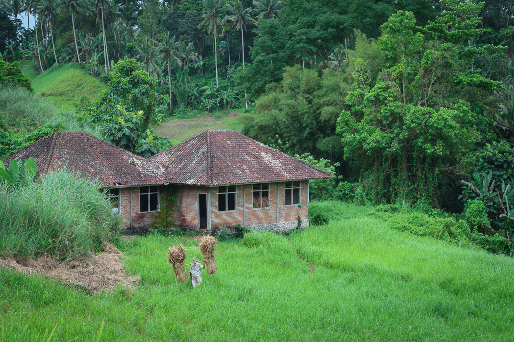 Indonesia (2010)
